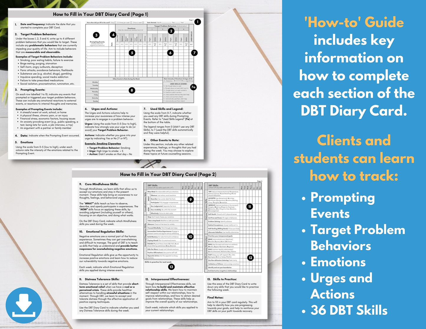DBT Diary Card, Dialectical Behavior Therapy, Skills Tracker Worksheet, Weekly Journal, Reference Guide, Mental Health (DIGITAL PRINTABLE)